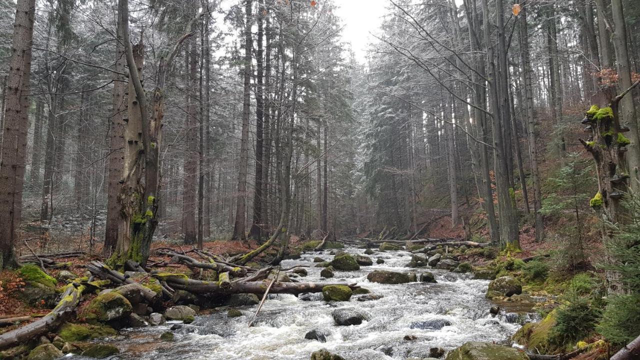 Villa Leika - Panoramablick am Riesengebirge Mysłakowice Exteriör bild